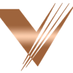 VenicomTech's profile picture. Established 1998, Venicom, a managed services provider leverages the cloud to solve complex customer business issues.
