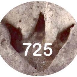 troop725's profile picture. Boy Scouts of America Troop 725 Glen Rose, Texas. Troop Meetings every Tuesday 7:00pm-8:30pm. Located at the corner of Pecan and Vernon. Downtown Glen Rose.