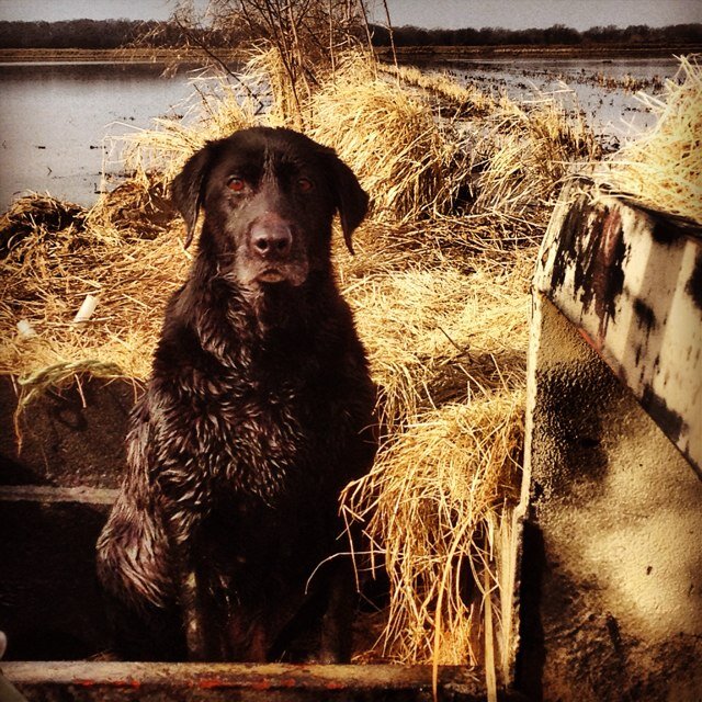 Fear God, love your nerighbor, and shoot ducks. follow us!! @SouthernFowler Keep an eye out for Southern Fowler Apparel soon to come!!