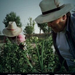 Documental