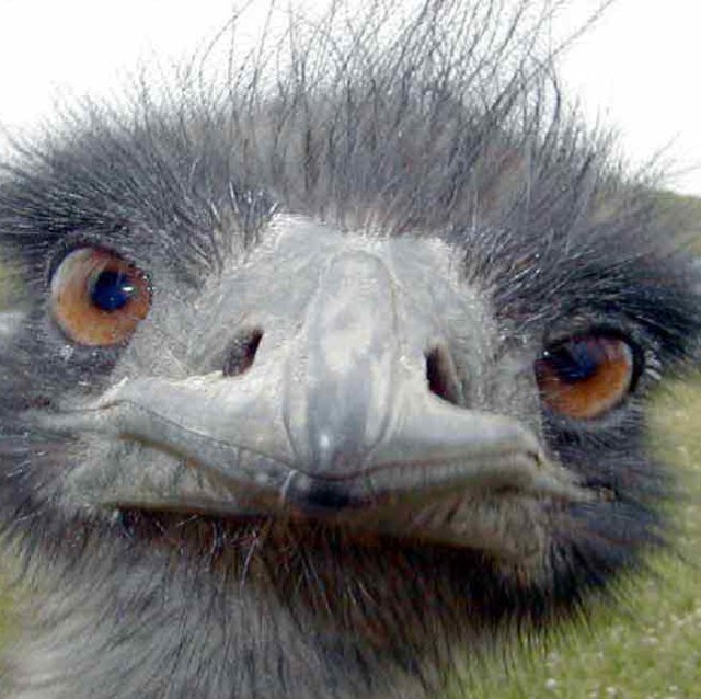 TheGabstr's profile picture. 