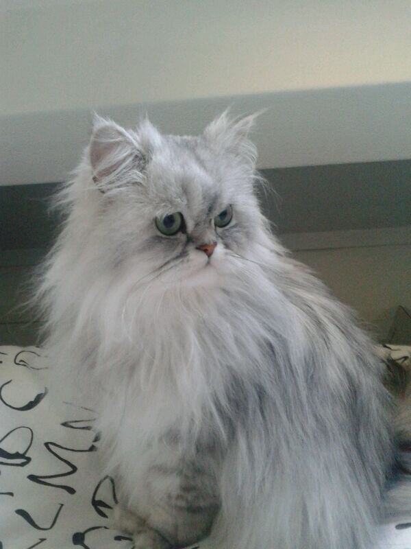 hou van jouw schatje xx melissa