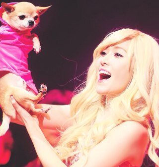 I'm girl and i'm a big fan kpop {girls,boys}Follow me and i follow you back:* I love you {kpop}:* #قلبي_يدق_دقا