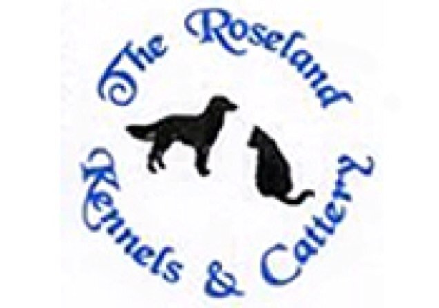 roselandkennels Profile Picture