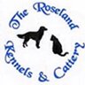 roselandkennels's profile picture. Husband, Dad & Grampy 👍 Providing boarding for the discerning pet owner. Carnance Pedigree Jerseys supplying Arla UK. Does a bit of 🚴🏻‍♂️