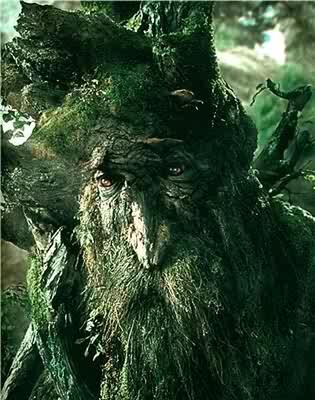 I am an Ent, a shepherd of the trees, my motto as alwaysDo not be hasty even in dark times,#RP #LOTR #wotr941