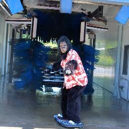 carwash_ec's profile picture. We make you shine!