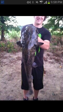 krismonsterfish's profile picture. 