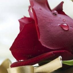 snow_ella's profile picture. 