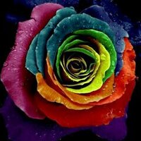 lɪиdσsн ♡' (@lindaabdullha) 's Twitter Profile