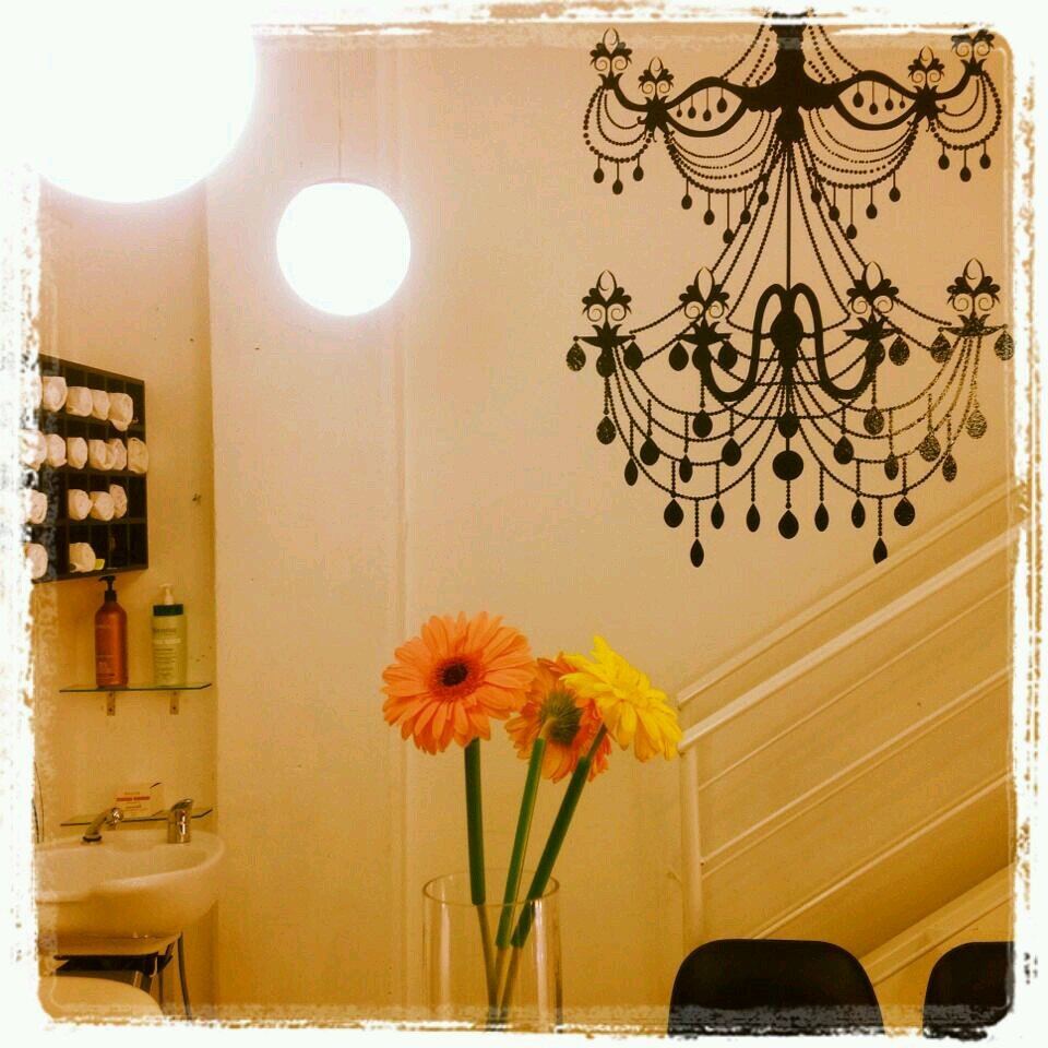 Estética spa 50196281