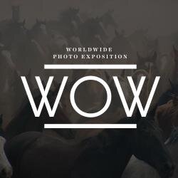 Canadian Photo Contest supporting Canadian Women's Foundation. 2017 contest opens March 6th, 2017! Open to all  Photographers. Cash Prizes!