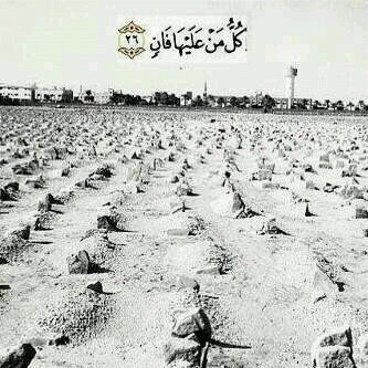 الله يرحمكم ابوي و امي ويجعل جنه الفردوس داركم https://t.co/WKoU0pvGuq