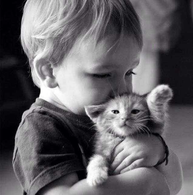 I should be upstairs grooming my widdle hero hair! |Human/TVD RP| |Age: 5| Mwy kitty's nawme is Mittens!