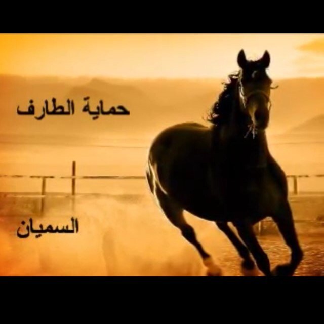السلام عليكم ورحمة الله وبركاتة أهلا وسهلاً بالجميع