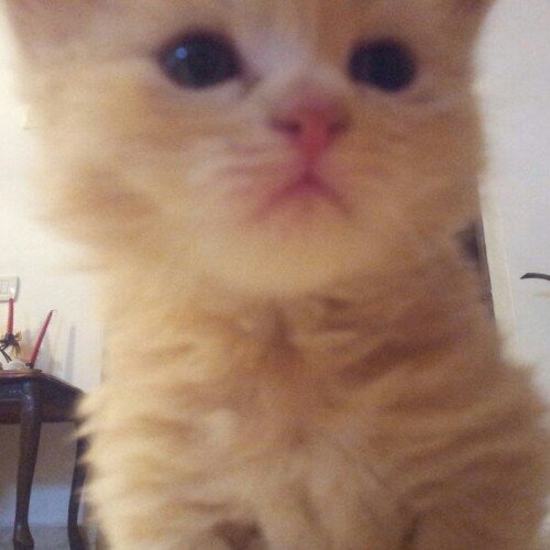 MillMomo's profile picture. 