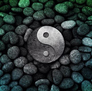 ninjadarkforce's profile picture. 