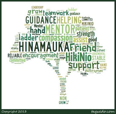 Hina Mauka Mentoring Program - Help enrich your community and spread Aloha