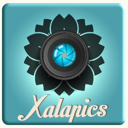 Xalapics Profile Picture