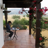 Tina Pepler (@tinapepler) 's Twitter Profile