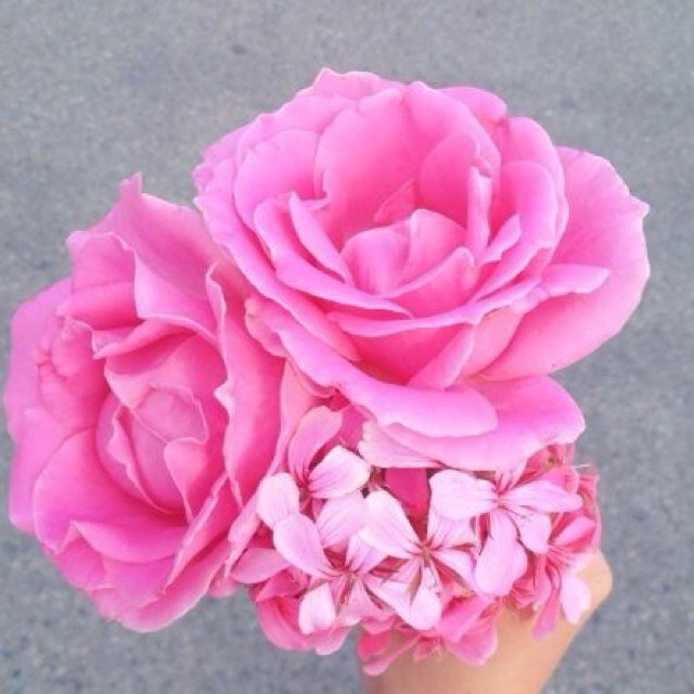 najlaEO's profile picture. Ask me a question http://t.co/NjRzraNDvO !! Saw my idol on 4.5.2013 best day ever . belieber & selenator ∞