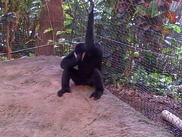 AHHHHndy's profile picture. 