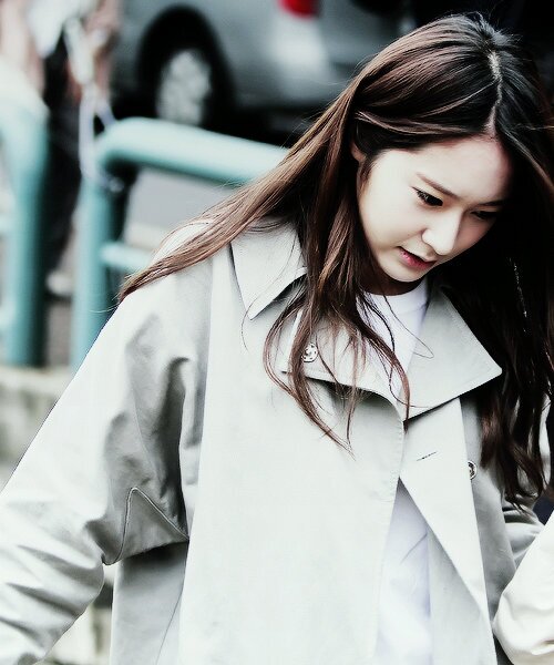 jsjies Profile Picture