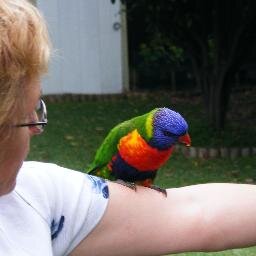 VonVonann's profile picture. loves family life, reading, gardening & hill walking.  Retirement has arrived so all can be indulged