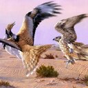 رقيب (@0538527379) Twitter