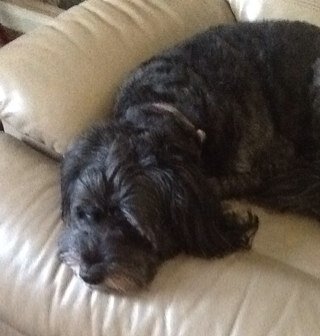 bidget75's profile picture. 