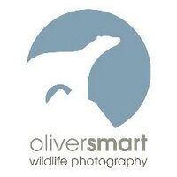 Oliver Smart(@smartwildlife) 's Twitter Profile Photo