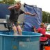 Dunk Tank Dave (@dunktankdave) Twitter profile photo