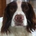 Lydia Rohmer (@ly_ro) Twitter profile photo Lydia Rohmer (@ly_ro) Twitter profile photo