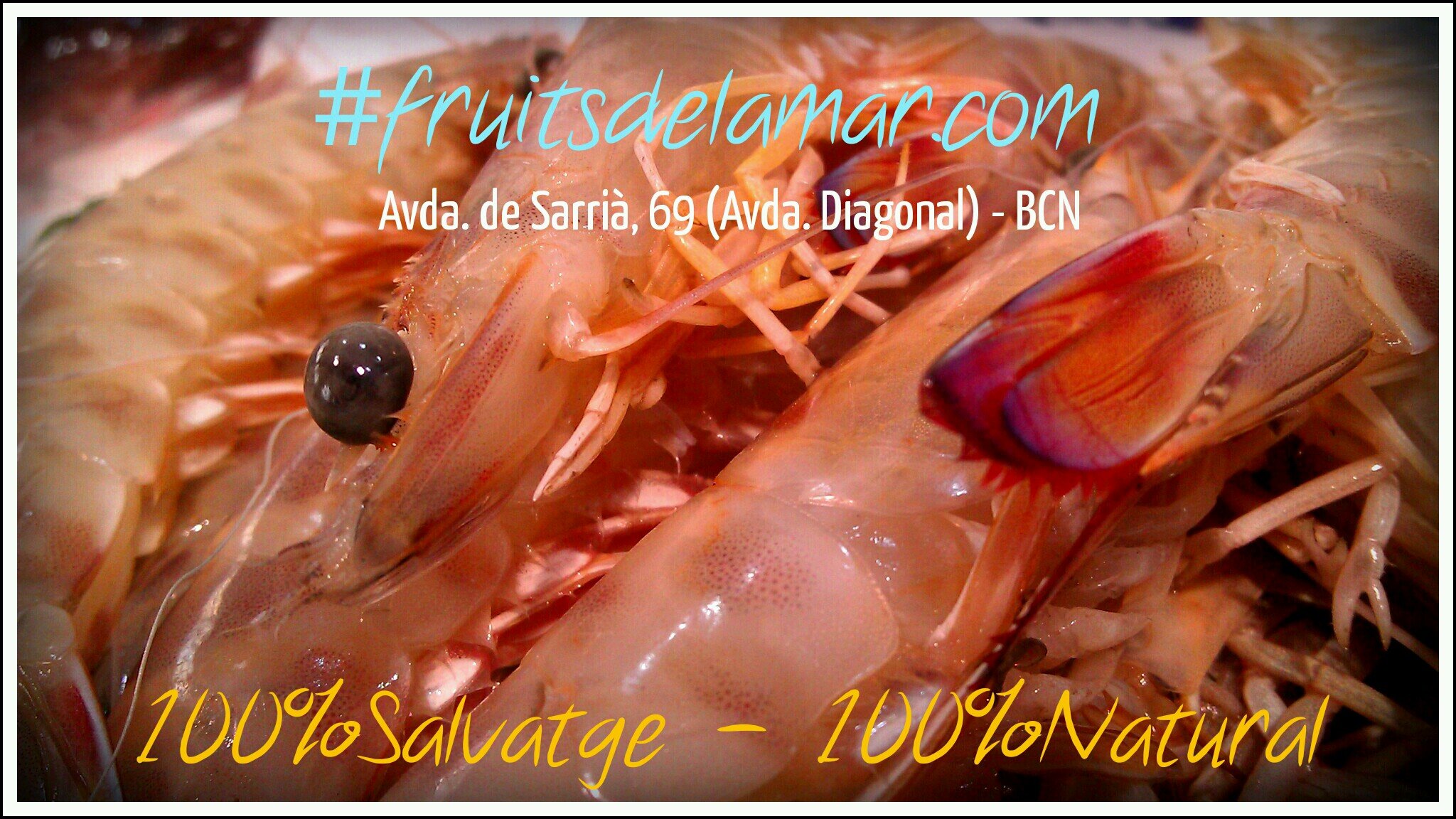 Para todos aquellos amantes del buen pescado y la buena mesa, en la que prevalece la calidad del producto ante todo. ¡Siempre sorprendemos!