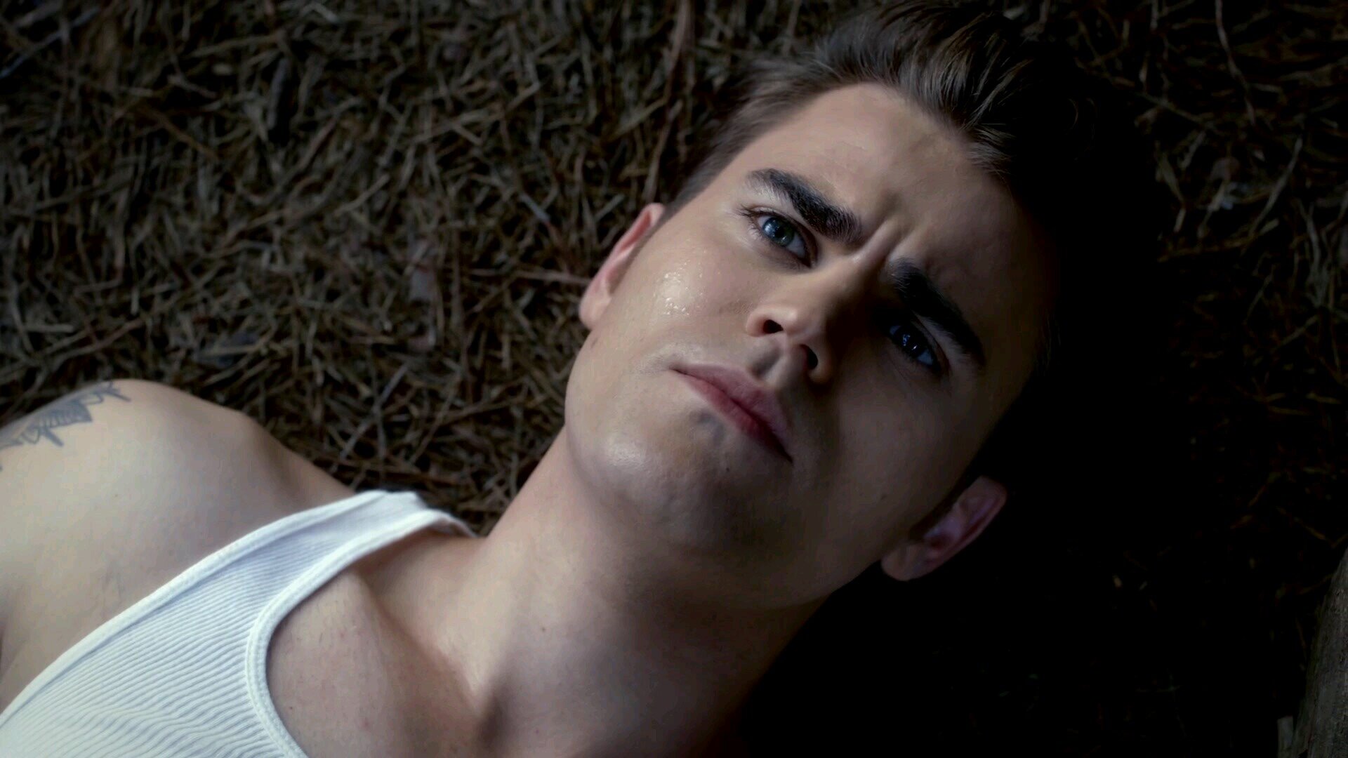 StefansTVDHeart's profile picture. *My obsession with tvd is unhealthy*| #stelena | #dobsley | #dobrevic | #Pdubber | @paulwesley ruined my life |