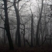 FolkloreUK (@folkloreuk) 's Twitter Profile