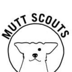 The Mutt Scouts