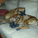 janis walton - @jwal061111 - Twitter