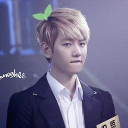 หวัดดีครับผมแบคฮยอน หมาน้อยน่ารักครับผม ^^ ช่วยมาเป็นเพื่อนคุยเพื่อนเล่นกับหมาน้อยตาดำๆด้วยนะครับ