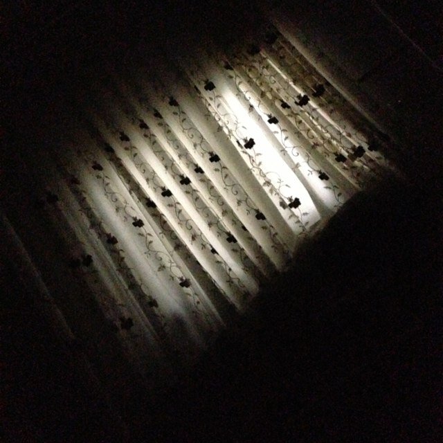 AllLoveall999's profile picture. 