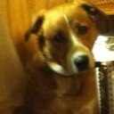 Joanne DeSantis - @jdesa36133 - Twitter