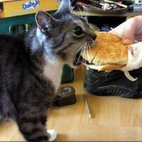 Anodyne_ (@anodyne__) 's Twitter Profile