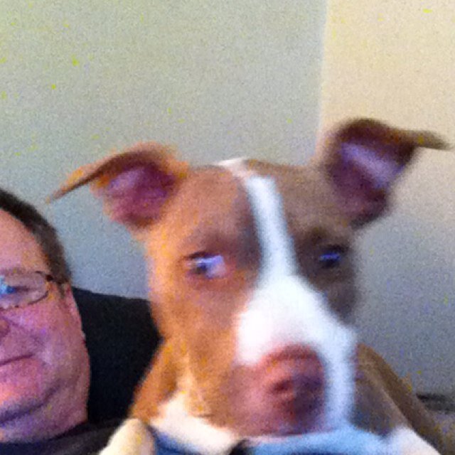 scruffy1216's profile picture. “You barely bruise me with your looks to kill... “