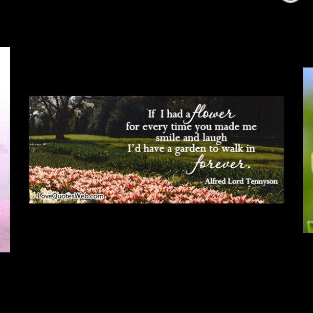 Haileymachac's profile picture. 