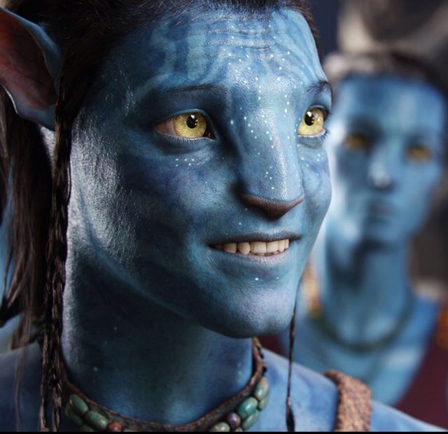 My Name is Toruk Makto and Avatar and explores and protect's my other kind not the one to get upset or mad with my attuide is not  best . ~ Single~Avatar