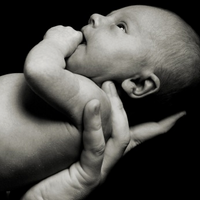 C-Section News (@c_sectionnews) 's Twitter Profile