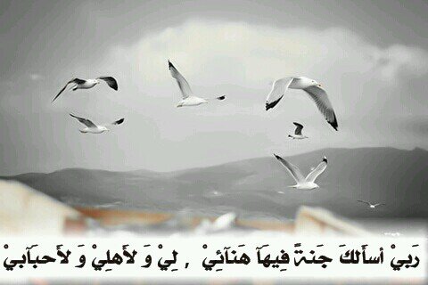 اعشق الصمت و يستهويني الهدوء اميل للغموض واصنع الابتسامة لمن احب ♡