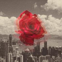 jamesliira's profile picture. piano. midi. synth. singer. songwriter. Towers&Trees. LIIRA. http://t.co/zILux3qESE