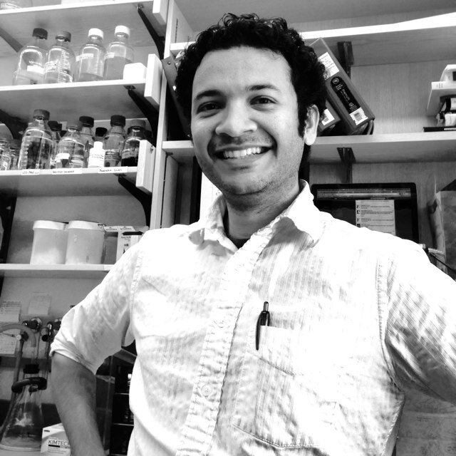 RNA/Protein Biochemist in Biotech.  ex- @umiamimedicine, @mit, @stanfordbiochem