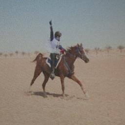 Dana_AlMutawa's profile picture. An athlete, endurance rider, with a life that revolves around horses.  ZU graduate, (International Affairs, minor in Converged Media).